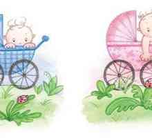 Cum de a alege un cărucior pentru un nou-născut