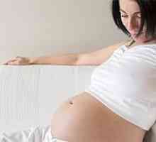 Alocarea de sarcină