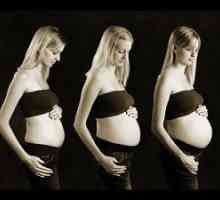 Burta creste in timpul sarcinii
