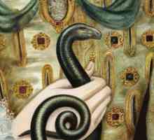 Snake într-un vis (ce un șarpe de vis)