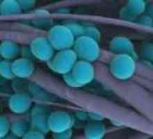 Staphylococcus aureus la copii