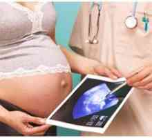 Maturitatea placentă în timpul sarcinii