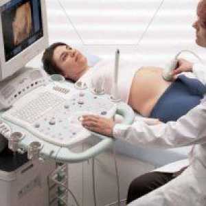 33 De săptămâni de sarcină: ultrasunete