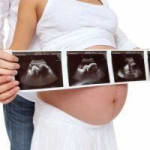 33 De săptămâni de sarcină: fetale Greutate