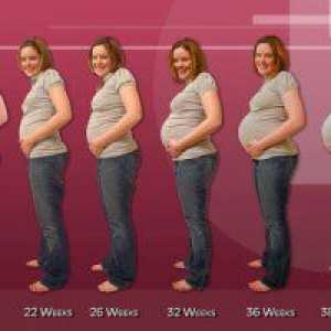 35 Săptămâni gravidă: burta jos
