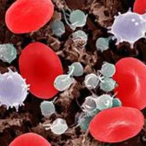 Un test de sange pentru a detecta viruși