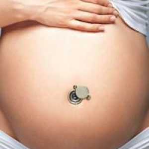 Analizează la planificarea sarcinii