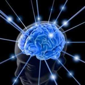 Chisturi arahnoidici ale creierului - cauze, simptome și tratament