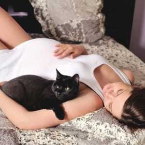 Femeie gravidă și o pisică în casă
