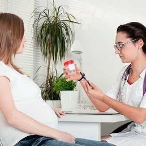 Citomegalovirusul in timpul sarcinii