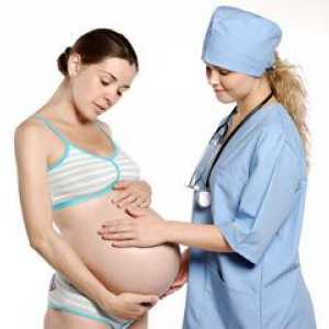 Citomegalovirusul in timpul sarcinii - în ceea ce privește riscul de infecție?
