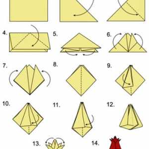 Flori - Origami