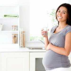Dieta mamele care alăptează: reguli simple