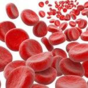 Hemoglobina în timpul sarcinii. Nivelurile scăzute și ridicate ale hemoglobinei în timpul sarcinii