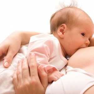 Alăptarea unui nou-născut - principii de bază