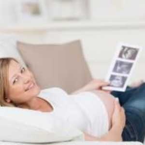 Cât de des se poate face ecografie în timpul sarcinii?