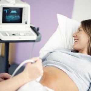Cât de des se poate face cu ultrasunete în timpul sarcinii