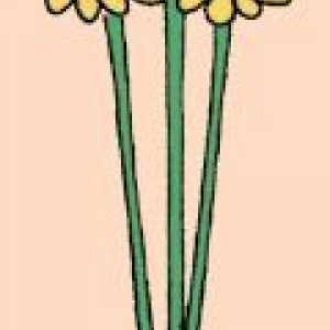 Cum de a țese o coroană de flori de papadii