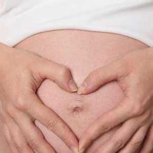 Cum este sarcina - ce se va întâmpla cu o femeie în timpul sarcinii