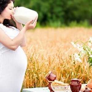 Cum de a crea o dieta pentru gravide