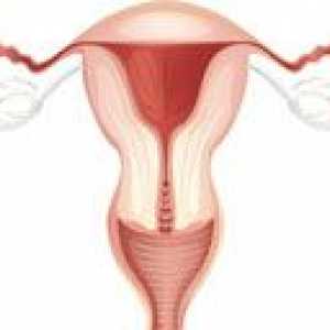 Cervix scurt în timpul sarcinii