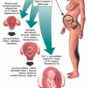 Medicamente în timpul sarcinii
