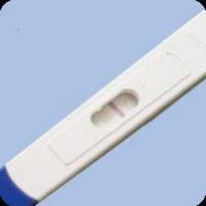 Poate un test de sarcină pentru a arăta o sarcina?