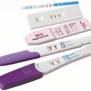 Putem face un test de sarcina in timpul menstruatiei?