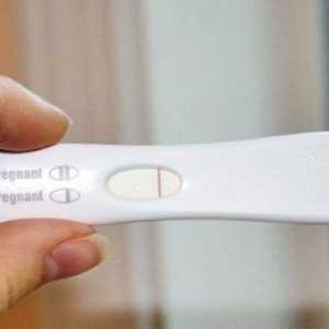 În ce zi dupa conceptie, spectacole test de sarcină