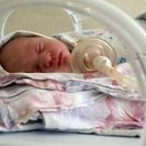 Nou-născuții prematuri