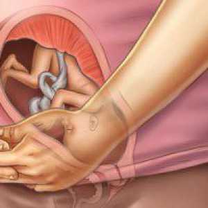 Greutatea normala fetale în 27 de săptămâni de sarcină