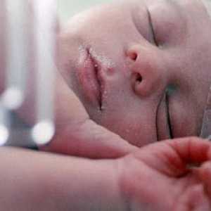Nou-născuți prematuri sugari - cum să aibă grijă de ei