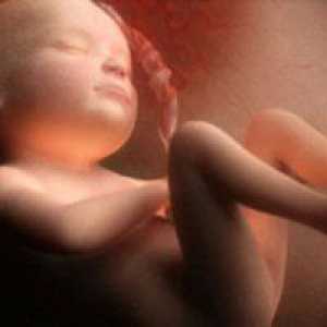 Foetus 29 de săptămâni: ceea ce se întâmplă în corpul mamei mele?
