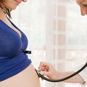 Înregistrarea de sarcină: puncte importante