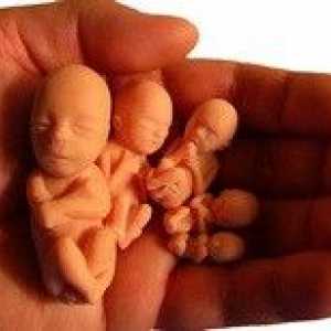 Cauzele și consecințele avort spontan la inceputul sarcinii