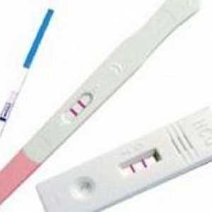 Cauzele test de sarcină fals pozitive