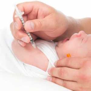 Vaccinările nou-născut în spital: cum de a proteja copilul de boala?