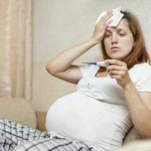 Racelile 15 săptămâni de sarcină