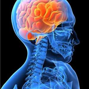 Cancer cerebral - simptome si tratament