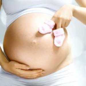 Dezvoltarea de sarcină: 28 săptămâni