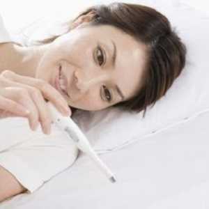 Temperatura rectală în timpul sarcinii