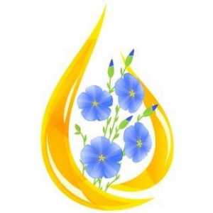 „Aur rusesc“, sau ceea ce este util uleiul de in timpul sarcinii