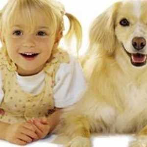 Câine pentru o familie cu copii - ce rasa de a alege?