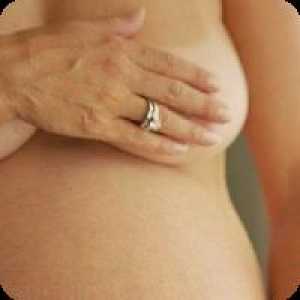 Mameloanele în timpul sarcinii