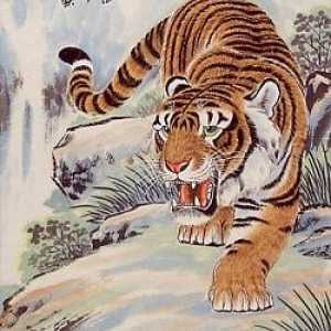 Tiger de Feng Shui
