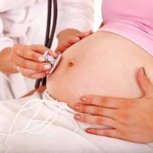 Tonul uterului în timpul sarcinii
