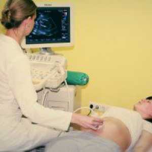 Cu ultrasunete a fatului la 16 saptamani
