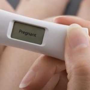Probabilitatea de sarcină în timpul, înainte și după menstruație