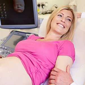 Are ultrasunete este dăunătoare în timpul sarcinii