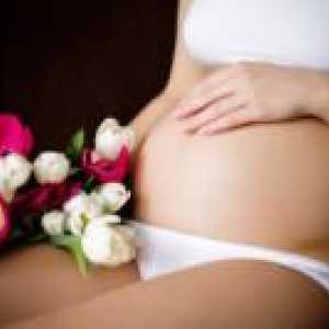 Alocarea de sarcină